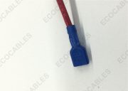 HF Molex Cable 2