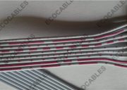 24 AWG Flat Ribbon Cables 2