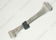 Ribbon Cable Assembly2