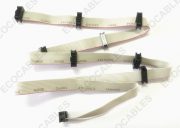 TM-6214-LF Flat Ribbon Cables1