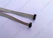 36cm Long 10 Wire Ribbon Cable3
